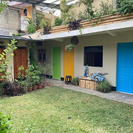 سان بيدرو لا لاغونا Mr. Mullets Hostel المظهر الخارجي الصورة