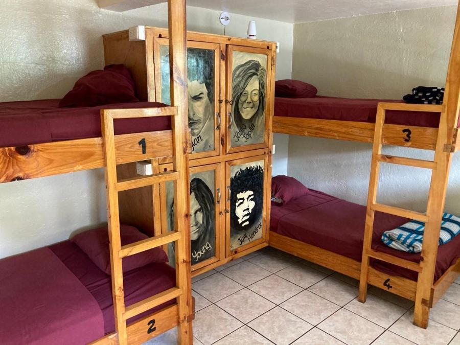 سان بيدرو لا لاغونا Mr. Mullets Hostel المظهر الخارجي الصورة